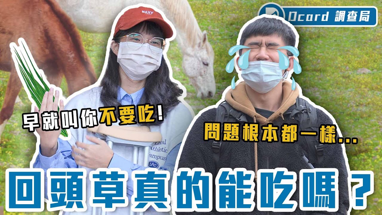 《換乘戀愛2》真實上演，「拒吃回頭草」與「重修舊好」你會怎麼選？【接受吃回頭草嗎】Dcard調查局｜Dcard.Video