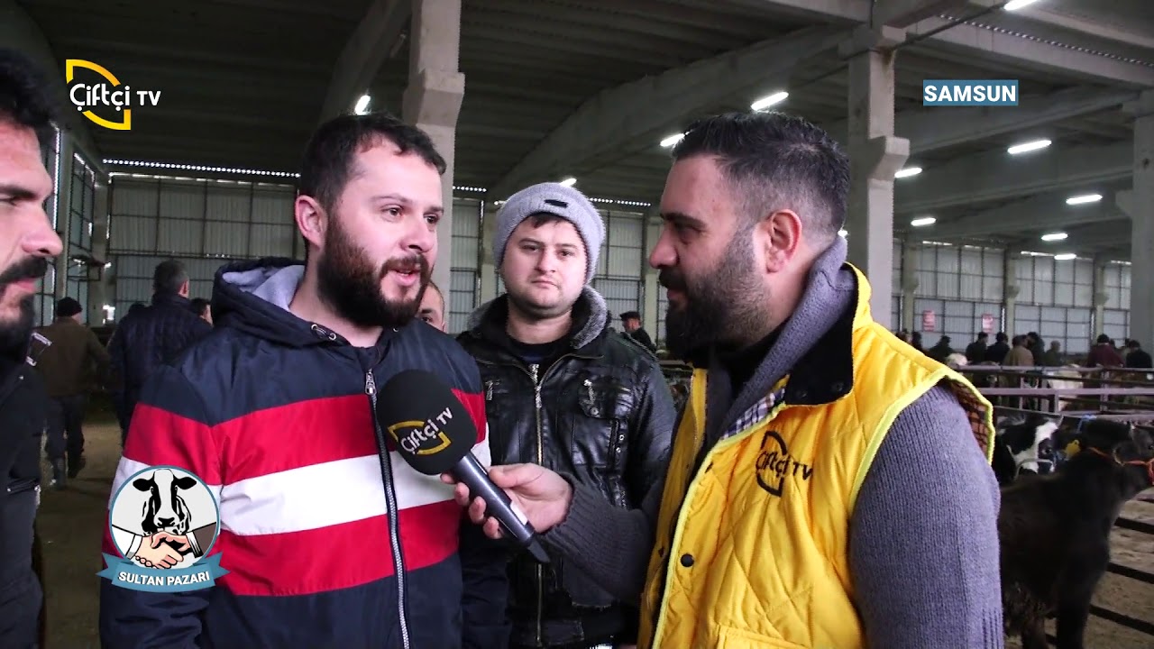 Samsun / Bafra'da Hayvan Pazarındayız - Sultan Pazarı / Çiftçi TV
