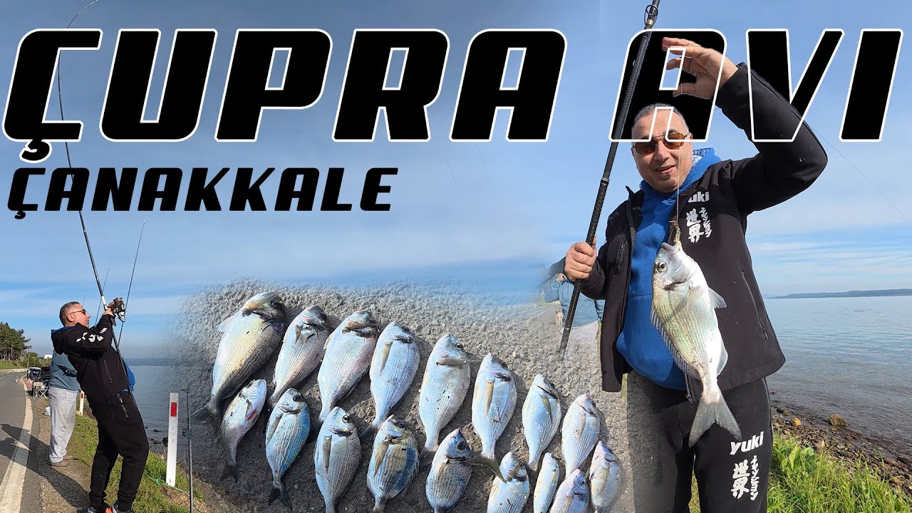 Çanakkale 'de Yengeç ile Çipura Avı
