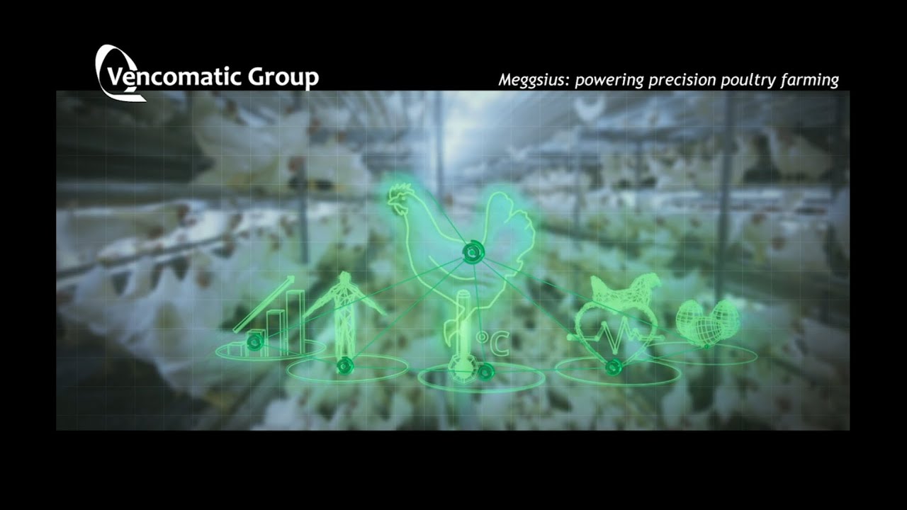 Vencomatic Group: Meggsius, Powering Precision Poultry Farming EN