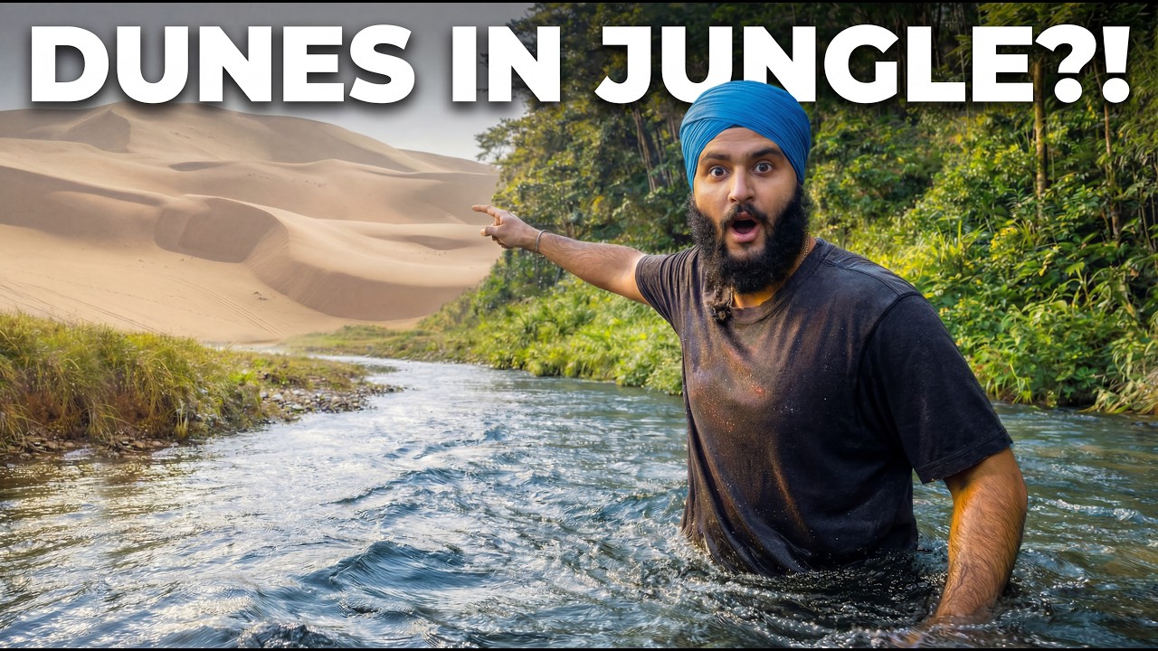 Dunes or Jungle?! 😳 ਕੀ ਇਹ Auckland ਹੈ?