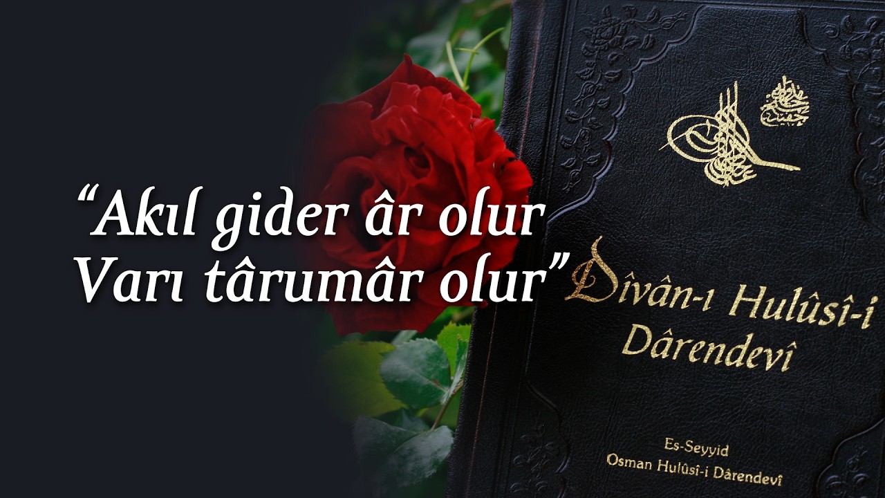 Divan-ı Hulusi | Akıl gider âr olur