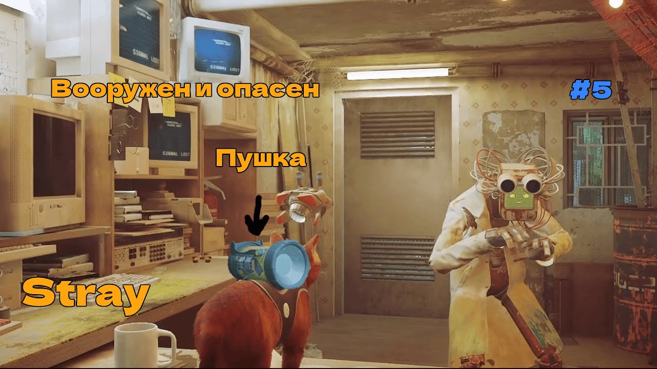 Stray | Прохождение | Нашли профессора! И еще кое-что #5