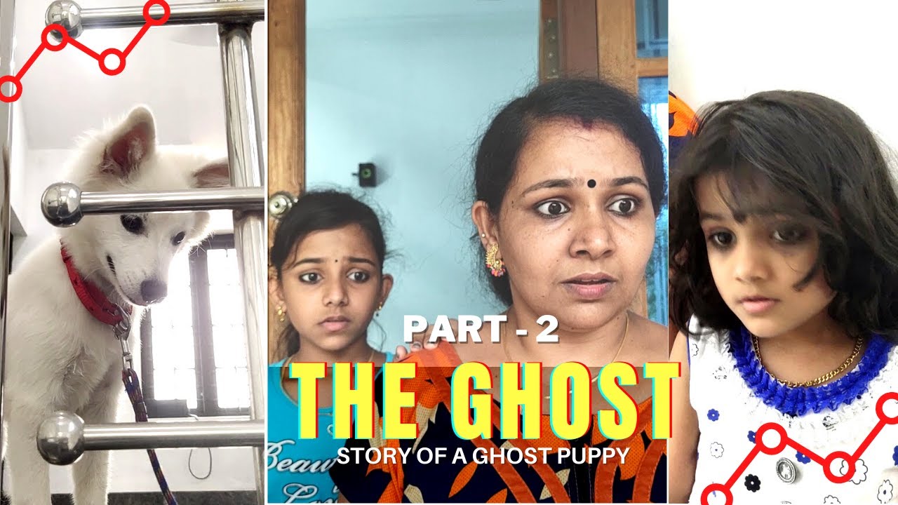 നിക്കിയുടെ ദേഹത്ത് പ്രേതബാധ | The Ghost | Comedy Short Film Part 2 | Ghost on Puppy's body !!!