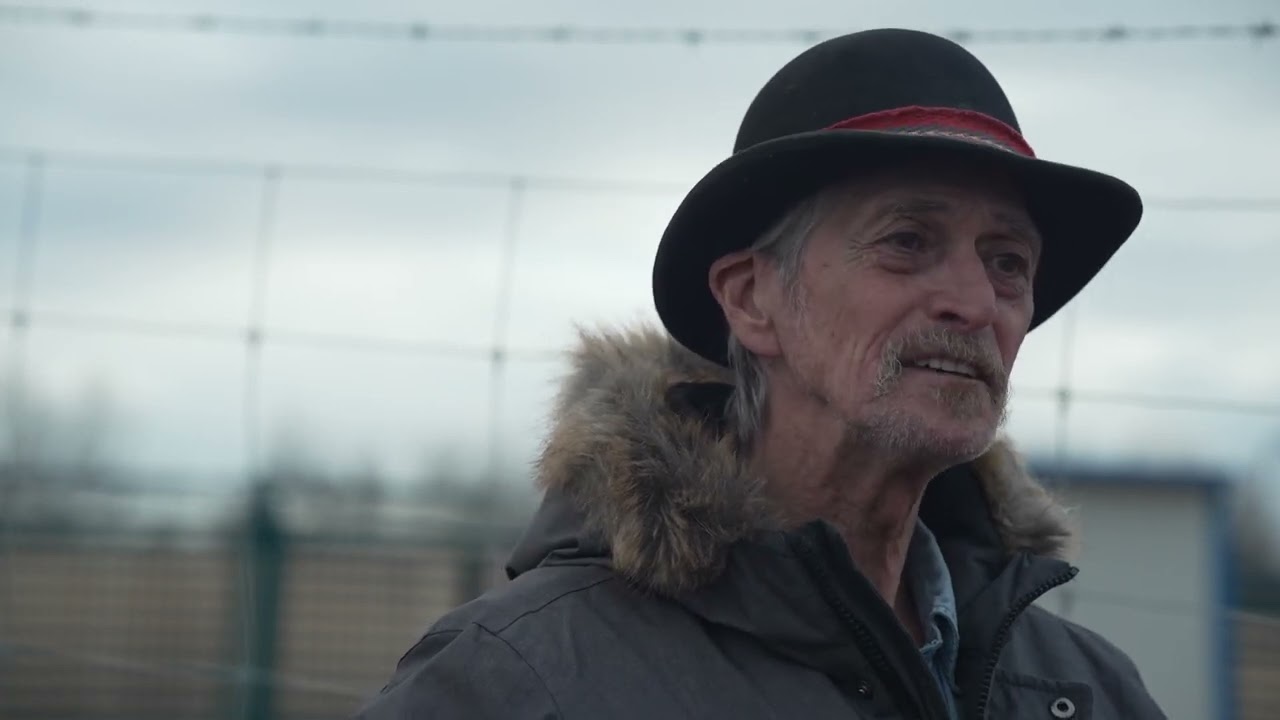 Bison return to the landscape on Métis Nation–Saskatchewan land near Batoche National Historic Site