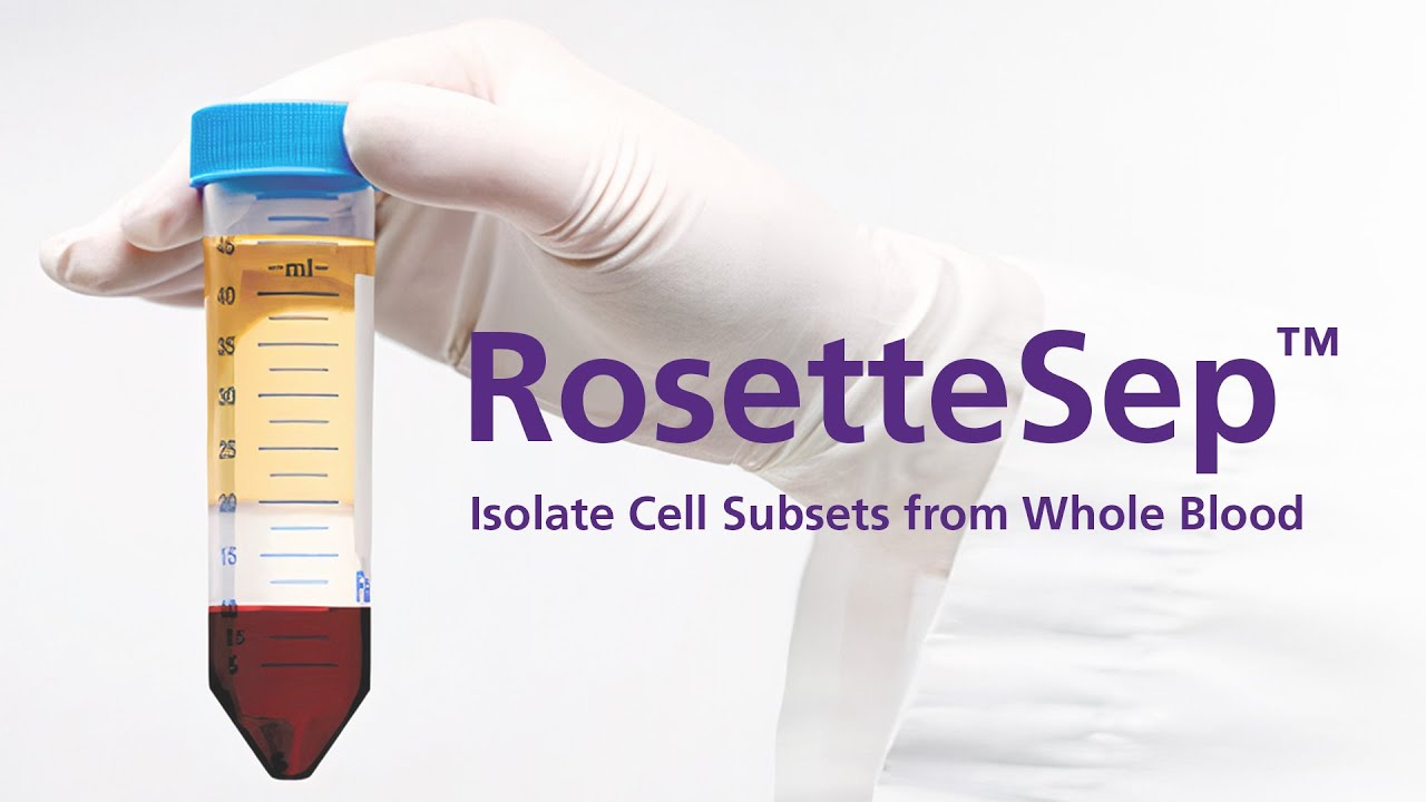 Isolate Cells from Whole Blood without Columns or Magnets: RosetteSep&trade; Immunodensity Cell Separation