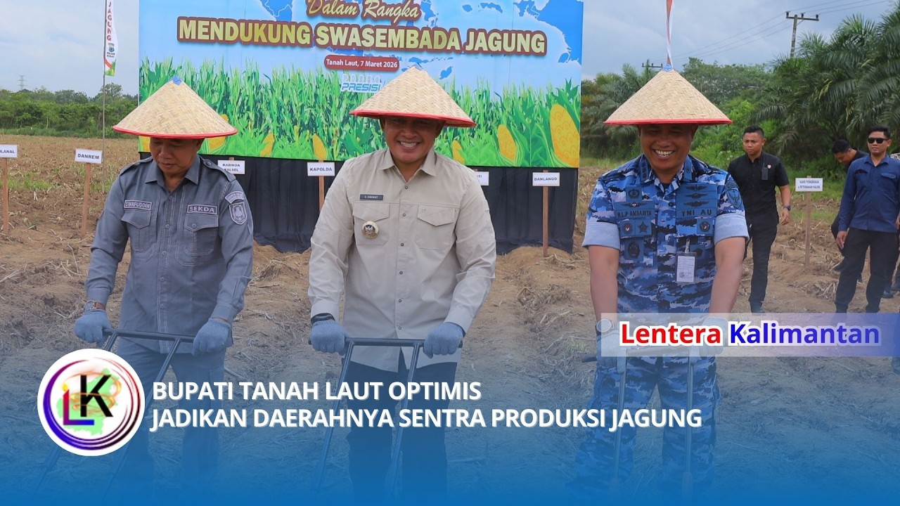BUPATI TANAH LAUT OPTIMIS JADIKAN DAERAHNYA SENTRA PRODUKSI JAGUNG