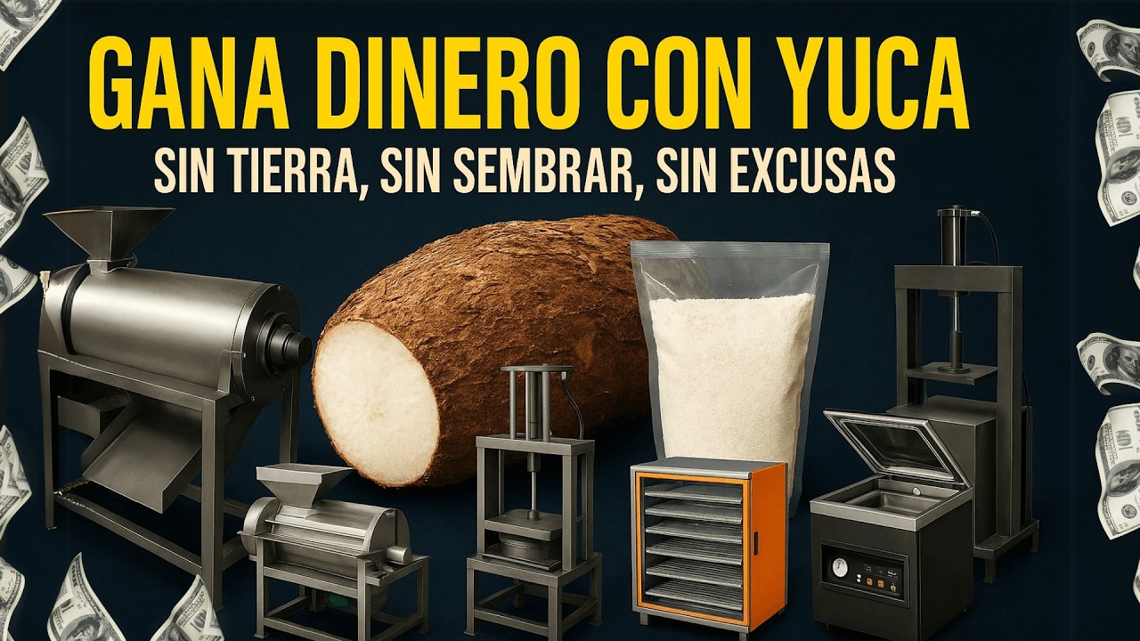 GANA DINERO con la Yuca sin Cultivarla ¡Es Posible! CREA TU EMPRESA DESDE CASA.