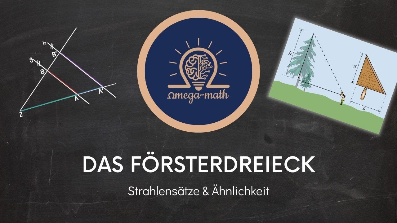 Das Försterdreieck & Strahlensätze | Schritt für Schritt - einfach erklärt!