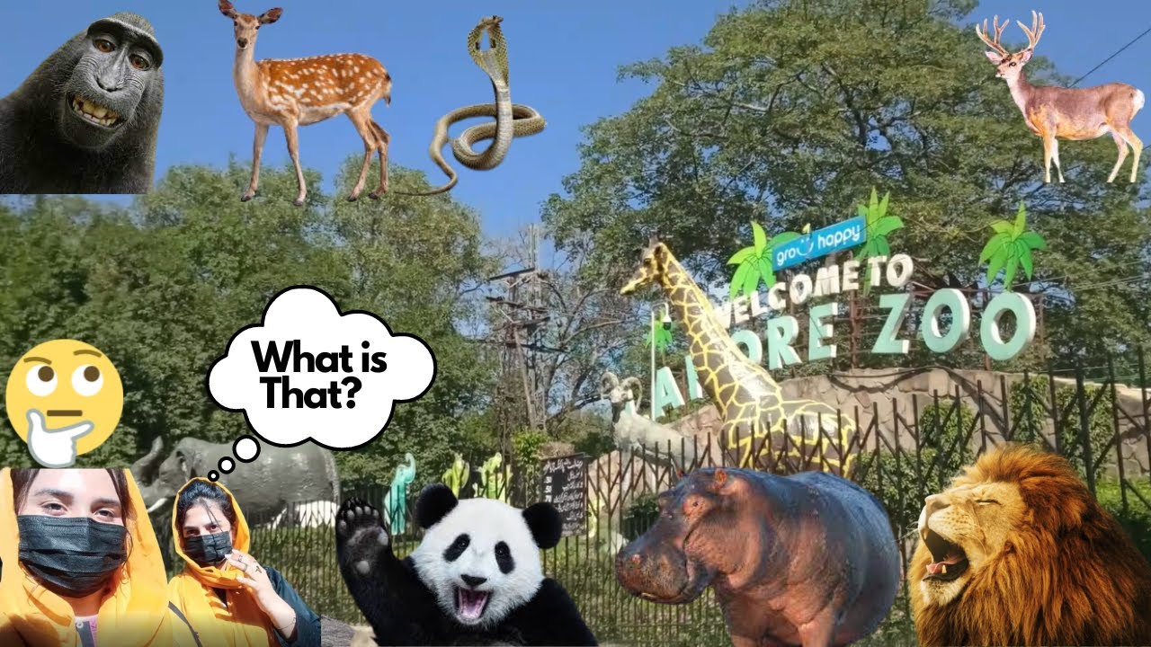 Lahore Special | Zoo Vlog | Family Tour😎😎🚗🖤