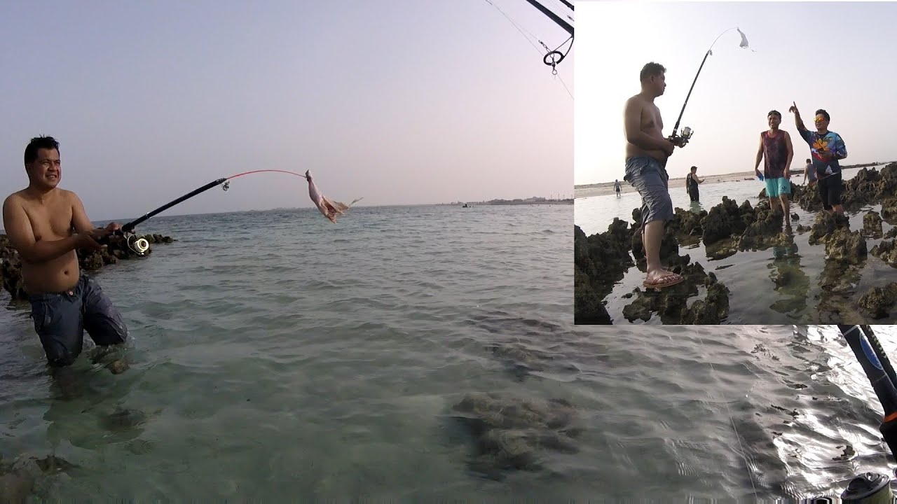 Fishing in Qatar l I Just Saw Someone Fishing Using Chicken Legs as Bait 😂 l Fishing in Dukhan