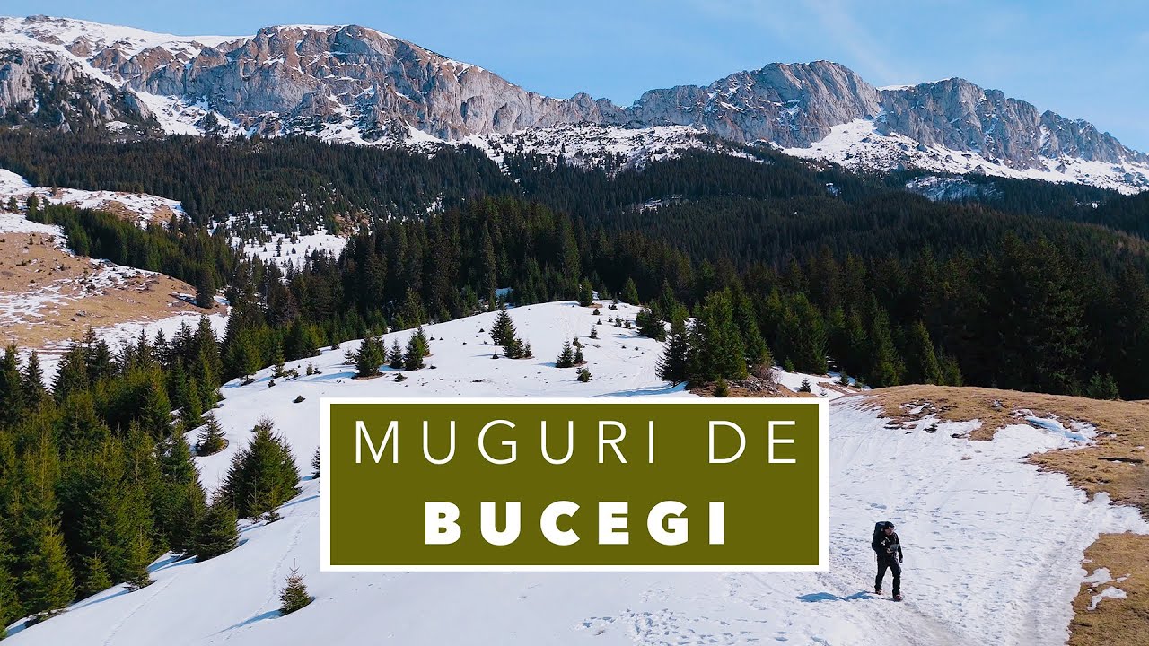 Singur 2 zile în abruptul vestic al Bucegilor - Vârful Bucşa şi o noapte la Refugiul Şaua Strunga