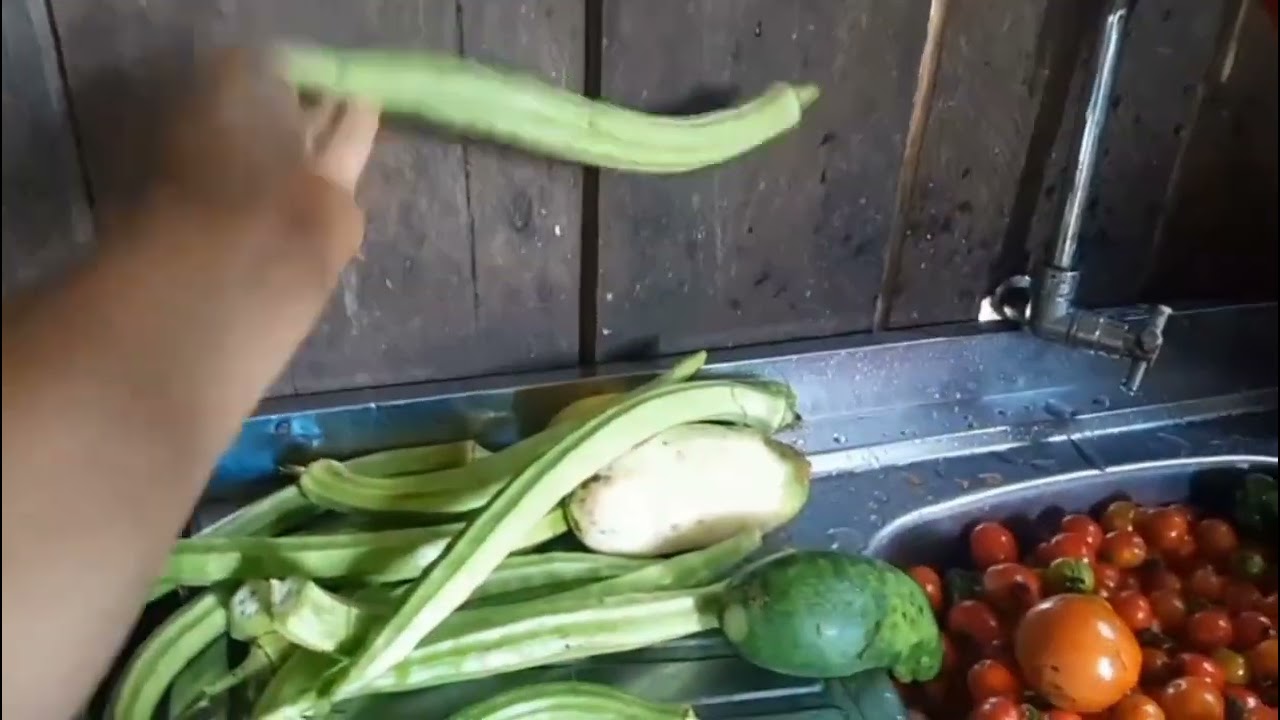 Mostrando um pouco do meu almoço e da minha colheita 