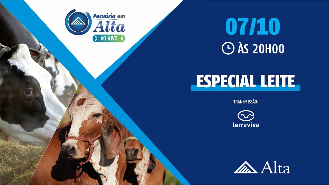 PECUÁRIA EM ALTA - ESPECIAL LEITE