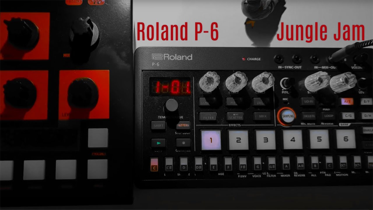 Roland P-6 Jungle Jam