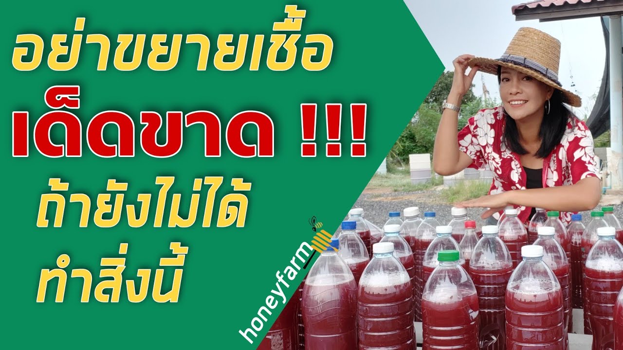 อาหารเลี้ยงเชื้อจุลินทรีย์สังเคราะห์แสง