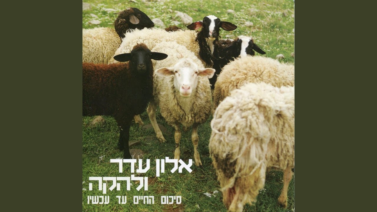 קצת אהבה לא תזיק