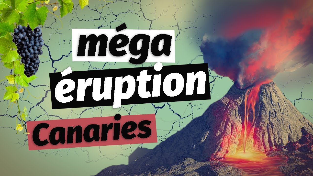 🌋L'éruption qui fait pousser la vigne🍇 | Carnet de terrain #1