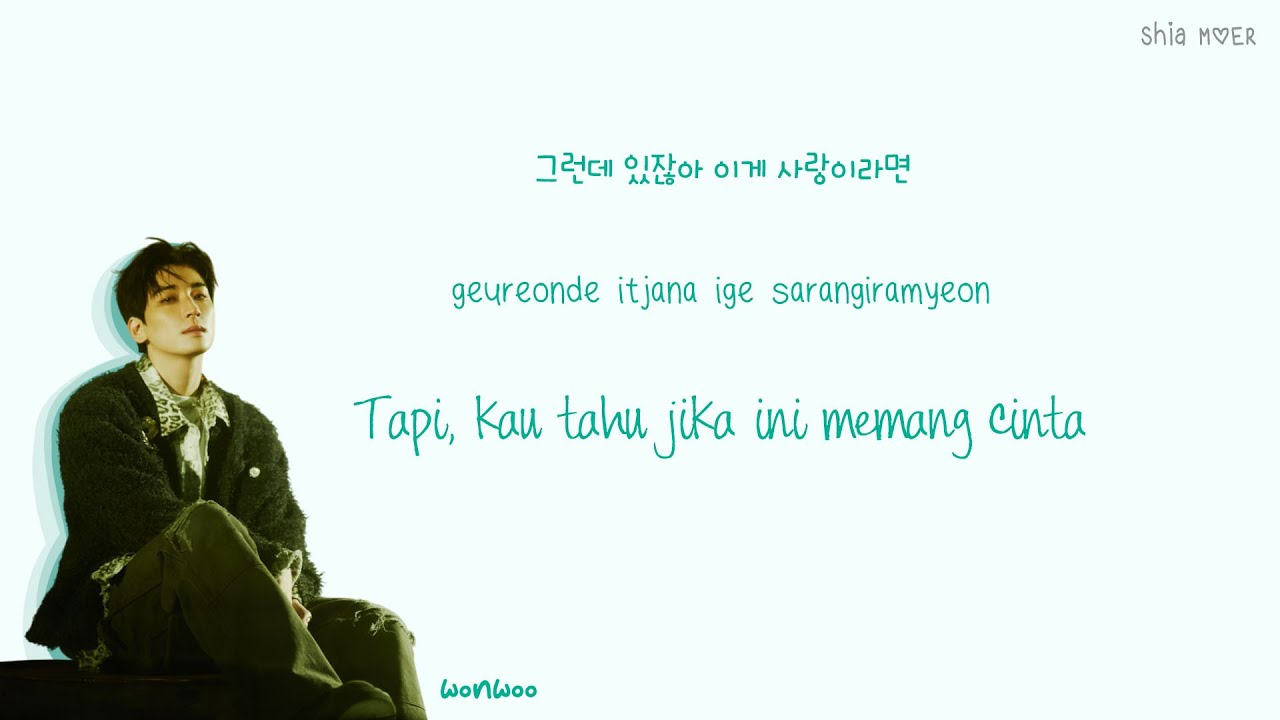 SEVENTEEN (세븐틴) 99.9％ (WONWOO Solo) [Han/Rom/Ina] Color Coded Lyrics Lirik Terjemahan Indonesia