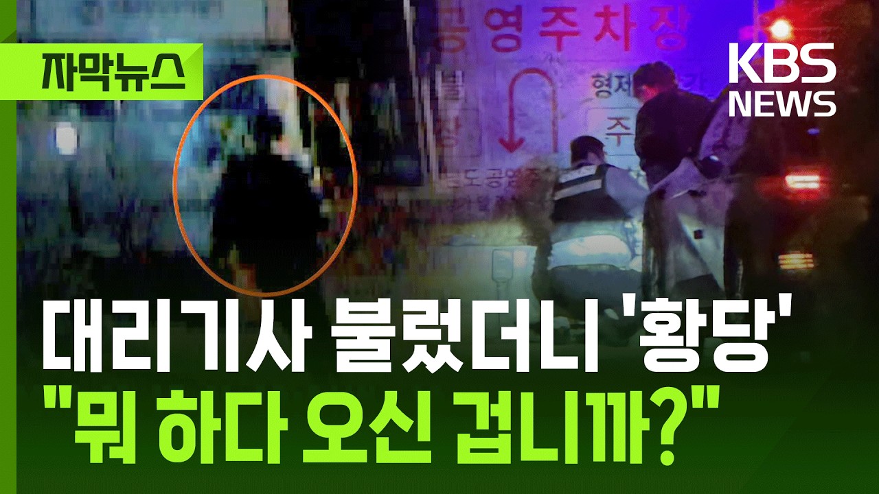[자막뉴스] 대리기사 불렀더니 '황당'…
