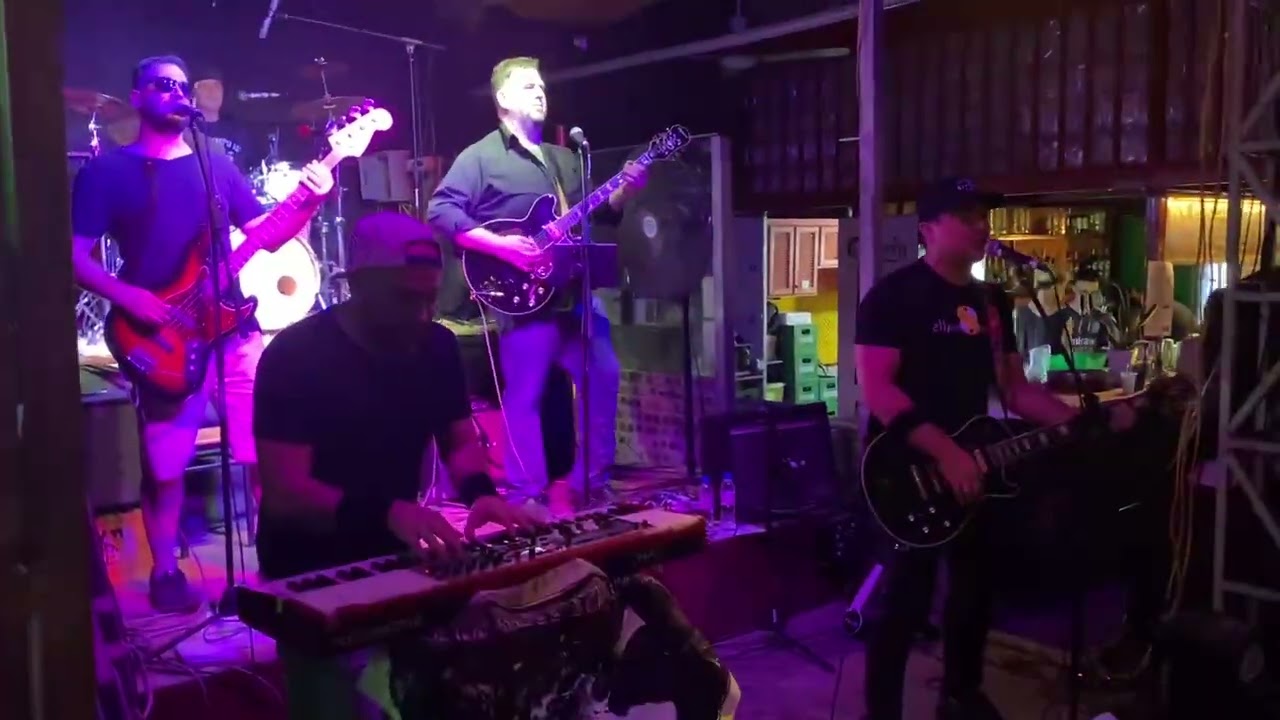 Learn to Fly - Foo Fighters (Sonic Skies Cover)