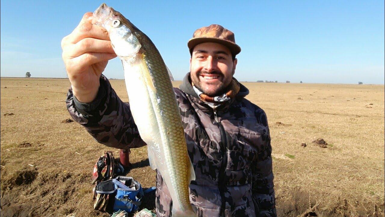 Sorpresa en la Laguna Altos Verdes! Pesca de pejerreyes de orilla