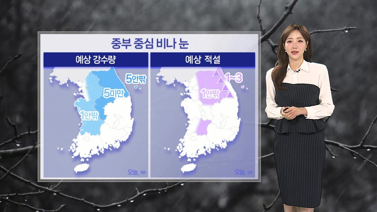 [날씨] 밤까지 중부 산발적 눈·비…내일 반짝 추위 / 연합뉴스TV (YonhapnewsTV)