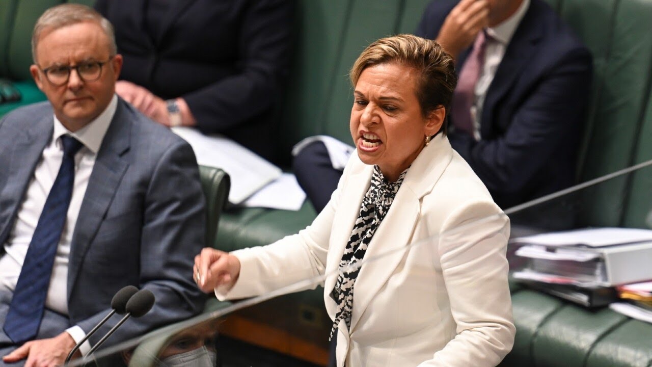 Australian government’s plan for 'Orwellian style' misinformation laws