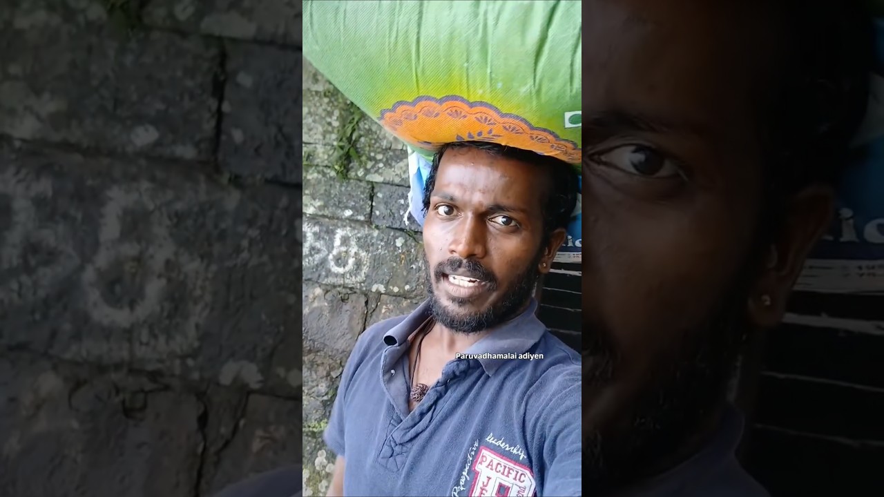 Paruvathamalai video vennam nu soltranga friends 🙏#parvathamalai #paruvathamalai #shorts #shortvideo