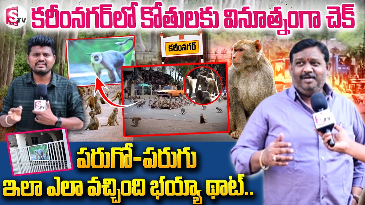 కరీంనగర్ లో కోతులకు వినూత్నంగా చెక్ .. ||Monkeys Hulchal In Karimnagar 