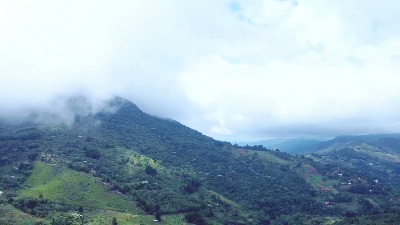 vereda el pato a unos  20 minutos de felidia valle del cauca