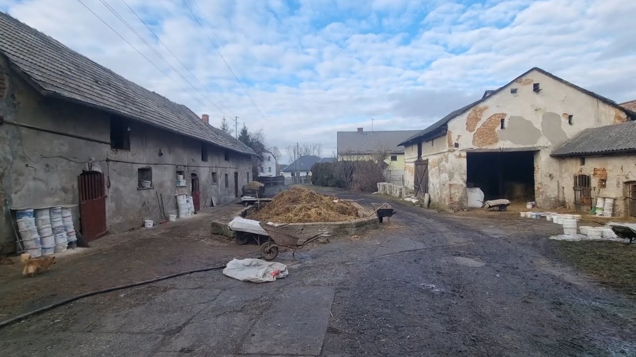 Historia hodowli i upraw na moim gospodarstwie/ jak to kiedyś było