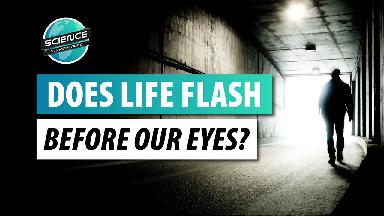 Consciousness in the Dying Brain - Science of Near-Death Experiences