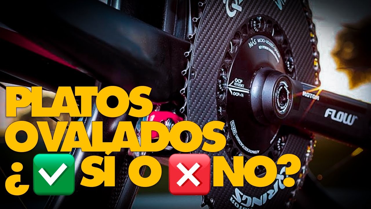 &iquest;Platos ovalados o redondos? 🤔 &iquest;Cu&aacute;les funcionan mejor?