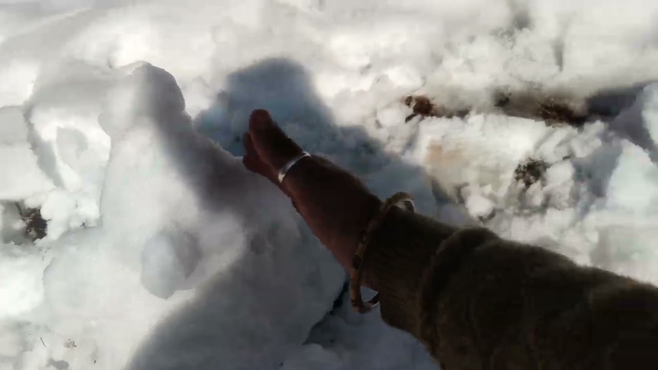 2026 नये साल की पहली बर्फबारी का आनंद# लेते हुवे आप लोग भी जरूर आना हमारे पहाड़ों में #जय उत्तराखंड 