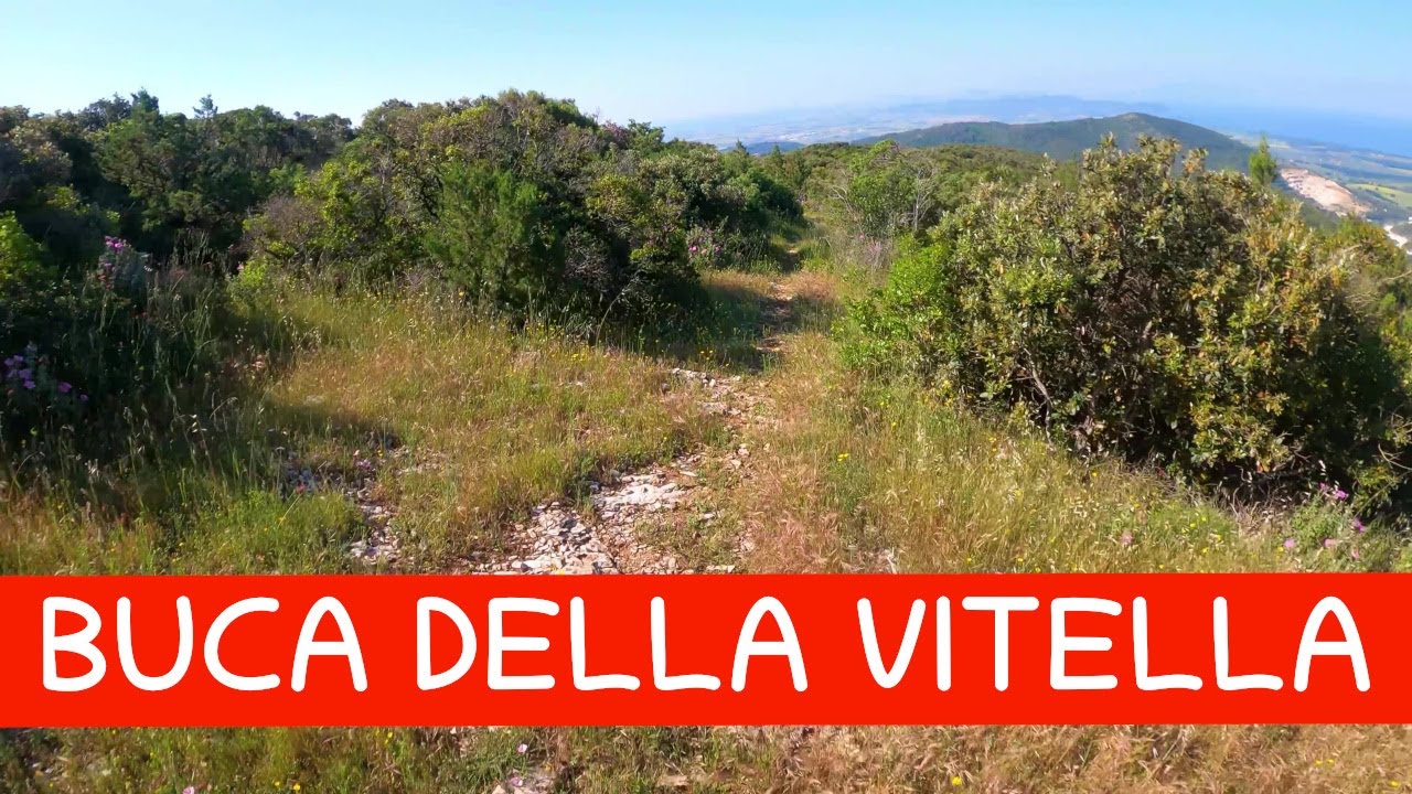 MTB Monte Calvi 27.05.2023 sentiero BUCA DELLA VITELLA, Campiglia Marittima