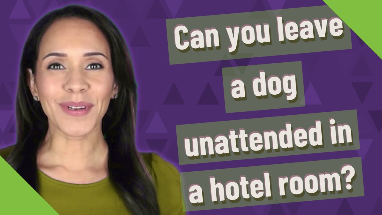 Can you leave a dog unattended in a hotel room?