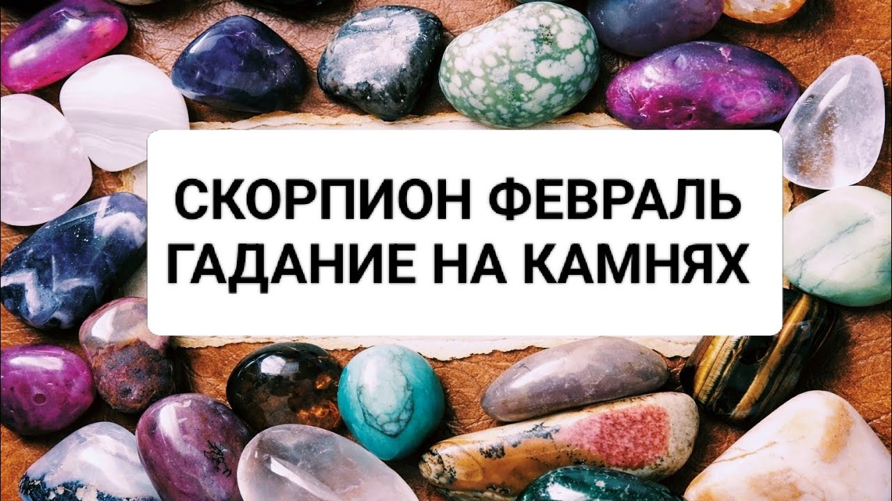 СКОРПИОН ФЕВРАЛЬ 2026год@кумалак ашу