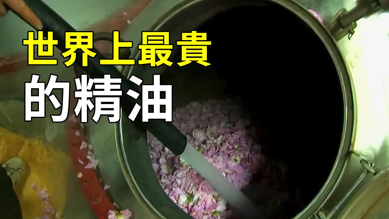 數十萬一公斤的液體黃金，玫瑰的種植和昇華