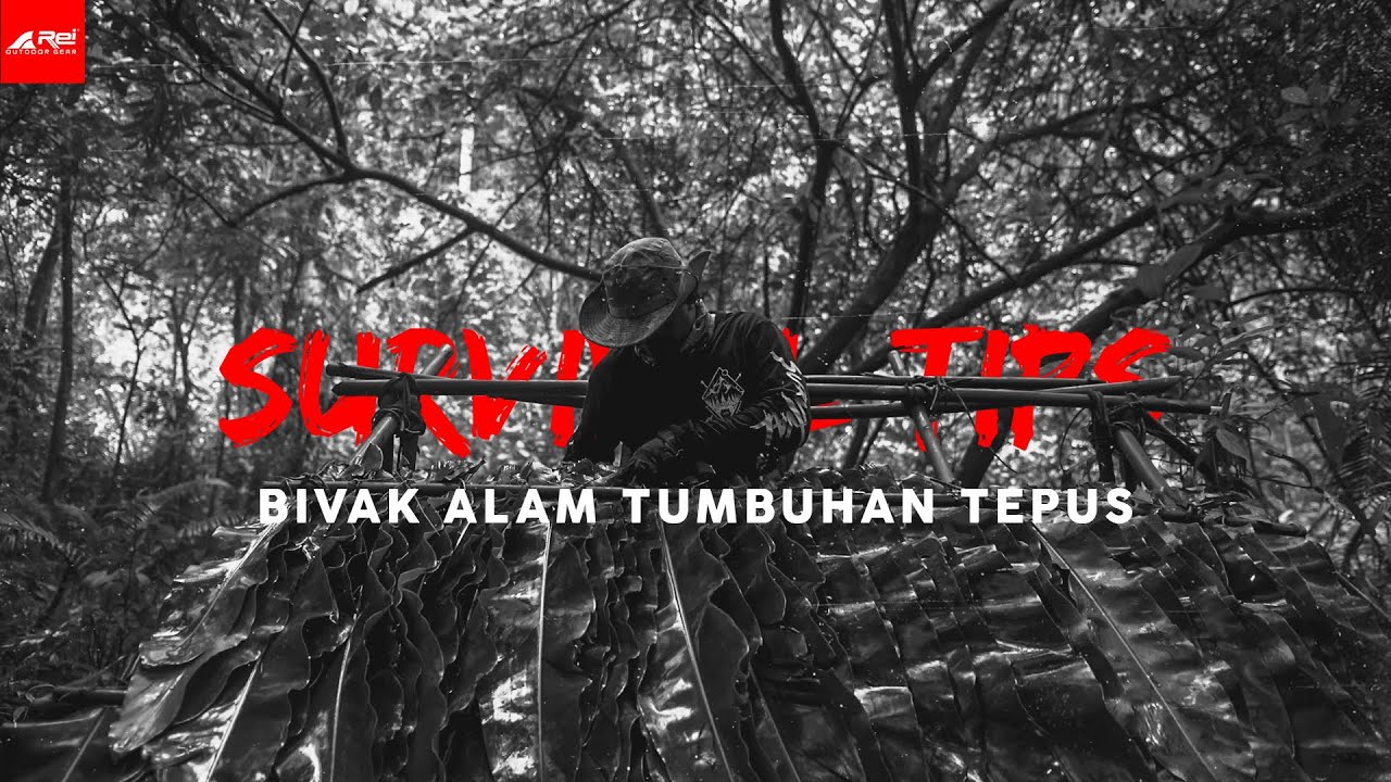 Survival Tips - Bivak Alam Tumbuhan Tepus