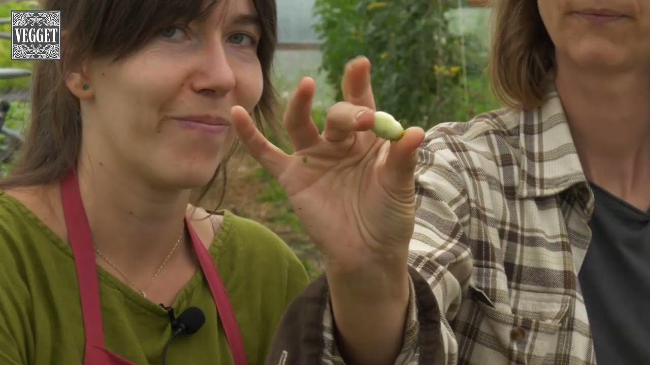 Varíme na farme s Martinou Grňovou z bistra Mandlove: Sezónny box 06