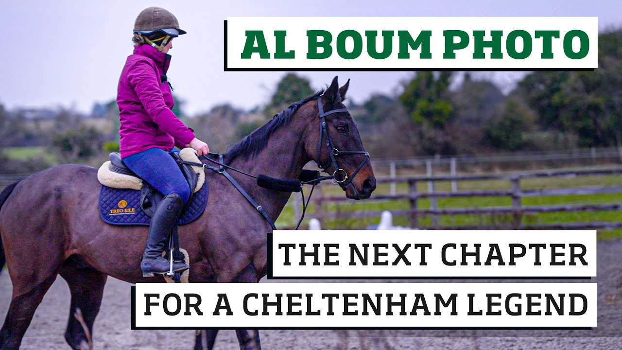 Al Boum Photo's new life after Cheltenham Gold Cup wins | Cheltenham Hero
