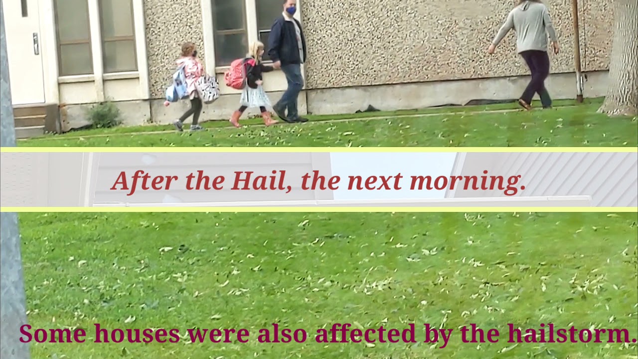 Next Morning after the Hailstorm.