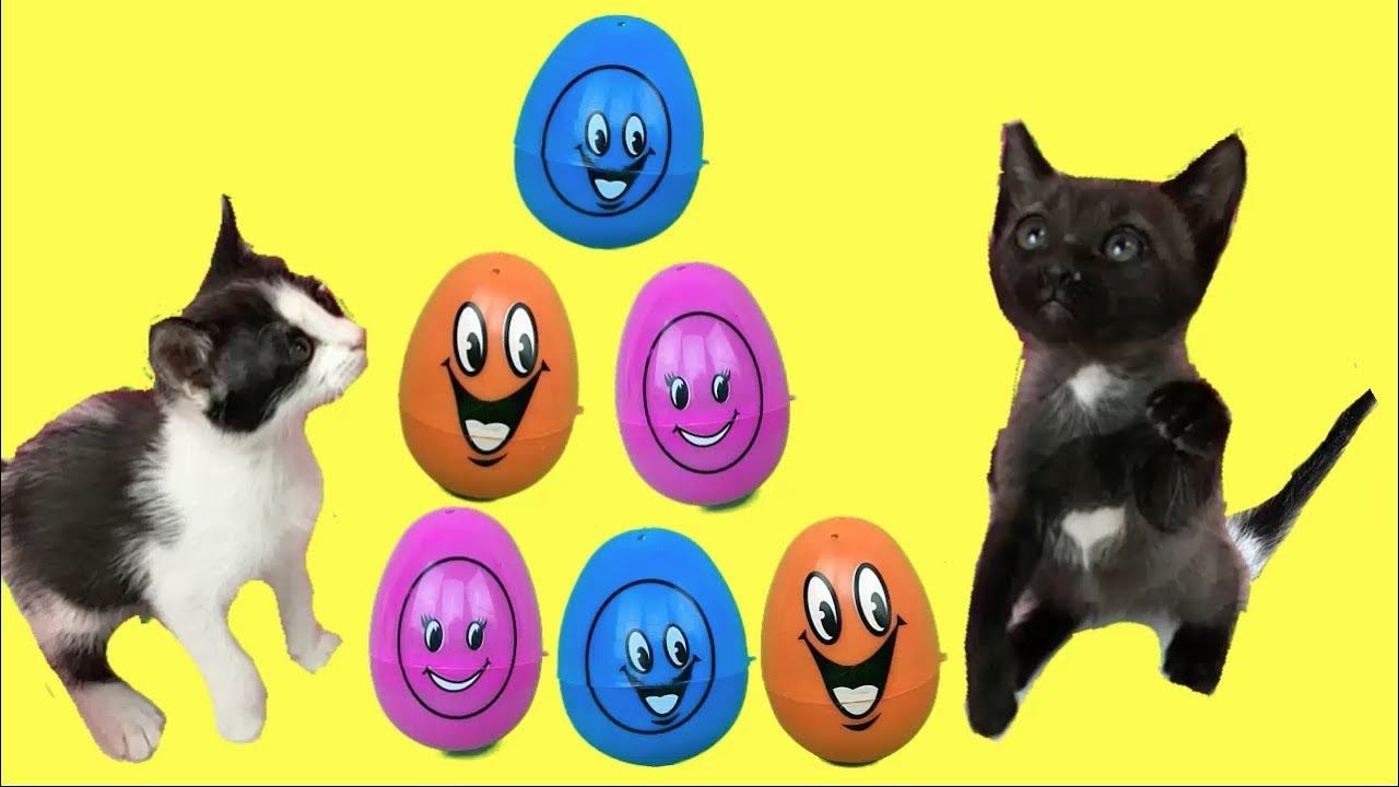 Mis gatitos bebés Luna y Estrella aprenden los colores con huevos sorpresa para niños / Funny cats
