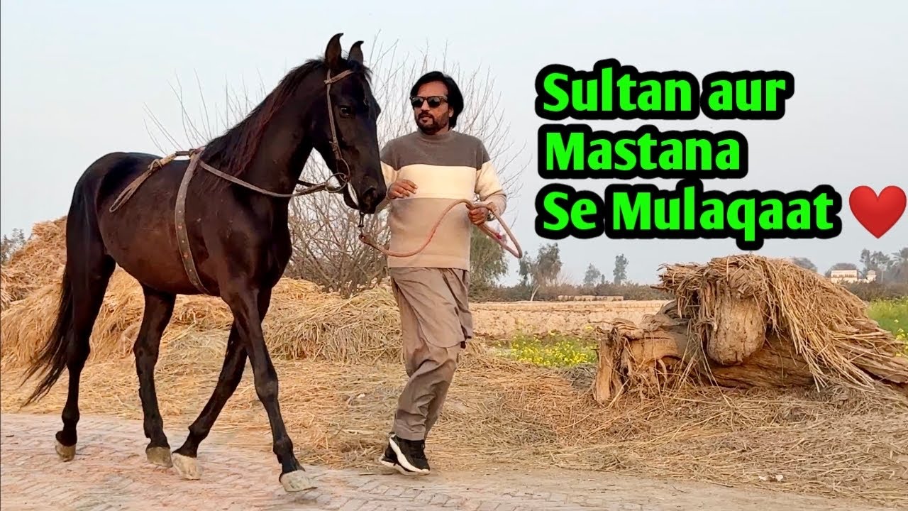 My Last Day at Ghouri Farms | Sultan aur Mastana Se Exclusive Mulaqaat