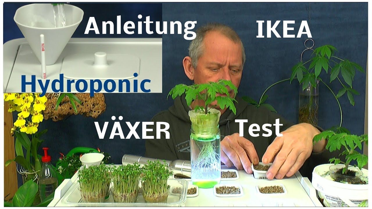 IKEA Hydroponic System VÄXER installieren und in Betrieb nehmen / Die Aussaat Kräuter