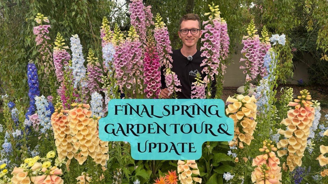 Final spring garden tour & update!