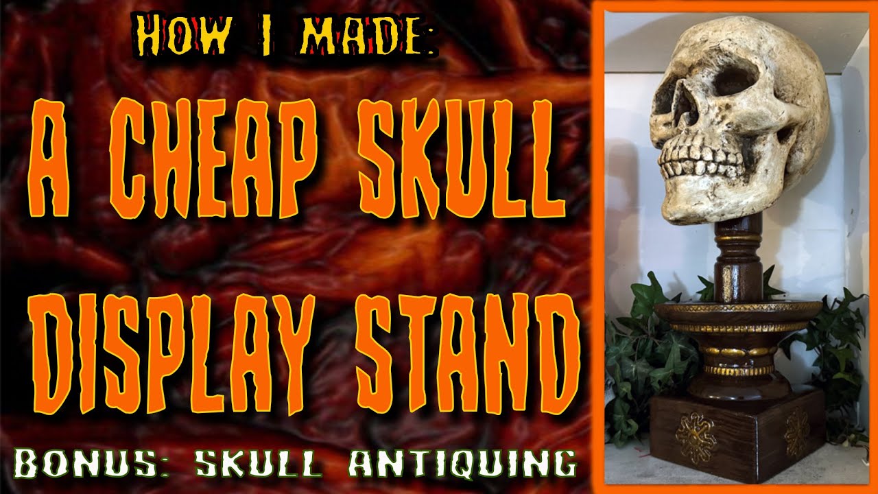 Cheap Skull Display Stand with Bonus: Skull antiquing