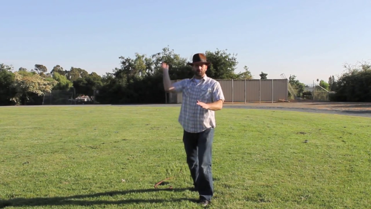 Bullwhip Lesson: Forward Vertical Vs. The Flick by Daren Wilkerson