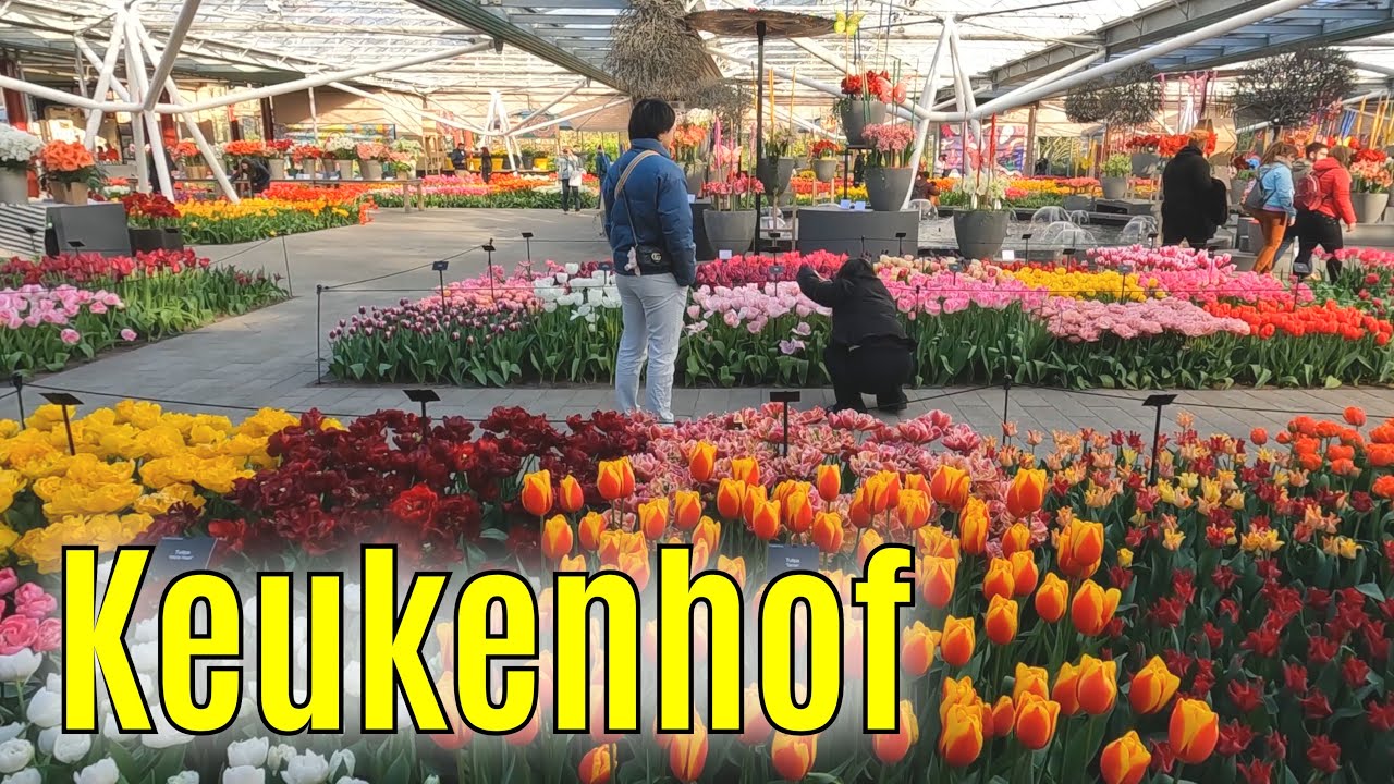 Keukenhof - The most beautiful spring garden in the world! - 2023 part 2